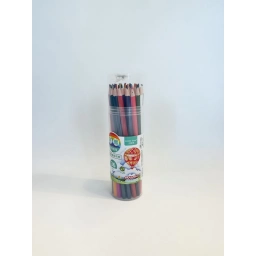 L�PICES (24BZ1167)