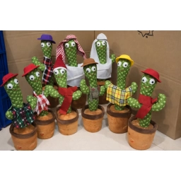 CACTUS CON SONIDOx100