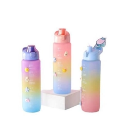 BOTELLAS (24BZ1466) X 60
